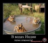 http://tf2.tomsk.ru/forum/uploads/thumbs/2802_4b02527ada1c9.jpg